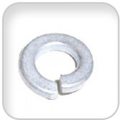 Order WESTERBEKE 32183 Lockwasher 1/4 Split Light