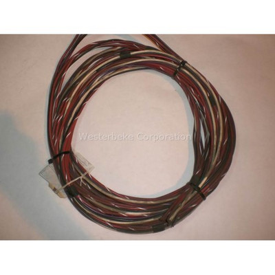 Order WESTERBEKE 42838 Harness, Panel 24943 25 Ft