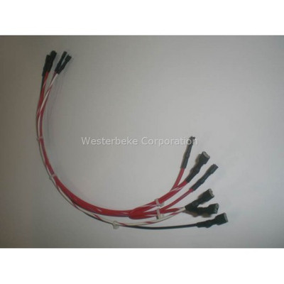 Order WESTERBEKE 49313 Harness, Gen Panel Power Efi