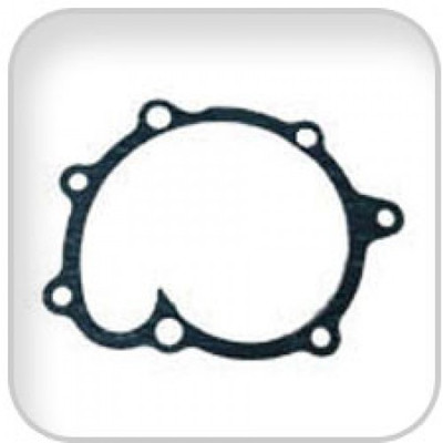 Order WESTERBEKE 41376 Gasket, Fresh Water Pump 71C
