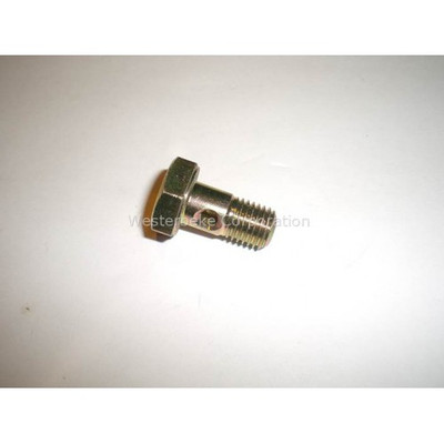 Order WESTERBEKE 45234 Bolt, Banjo M10 Oil Line