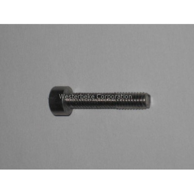 Order WESTERBEKE 49714 Capscrew, Distributor M 4X20 Ss