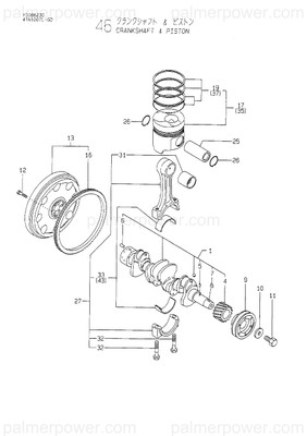 Order YANMAR 719000-22950 Ring Set, Piston .25