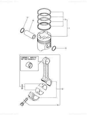 Order YANMAR 127695-23350 New 127672-23350 .25 Crank Pin