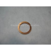 Universal 200665 Gasket Injector