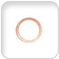 Universal 200695 Gasket Injector