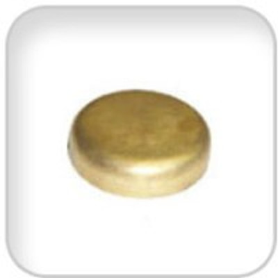 Universal 299905 Plug Expansn 18Mm Din443 Brass