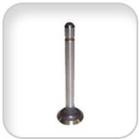 Universal 299437 Valve Exhaust