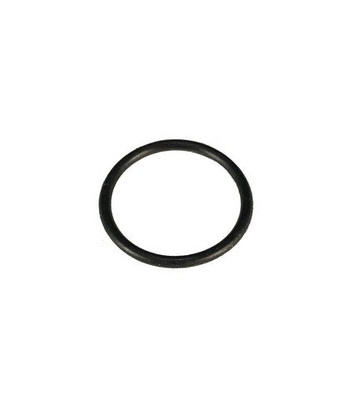 Alto Products 010019B O'Ring Paragon (Old# 0700801)