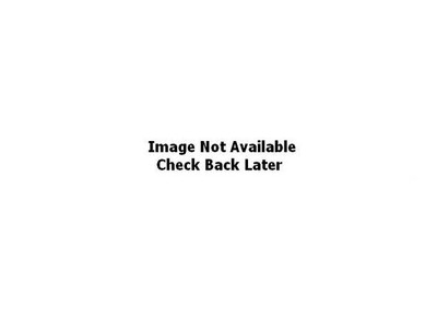 Alto Products 332718 Friction Clutch Twin Disc Alto Products 332718 Friction Clutch Twin Disc