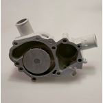 NORTHERN LIGHTS 145017320 Fresh Water Pump For M753K And M753W Generators