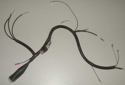 BETA MARINE 200-98380/01 Standard Engine Harness
