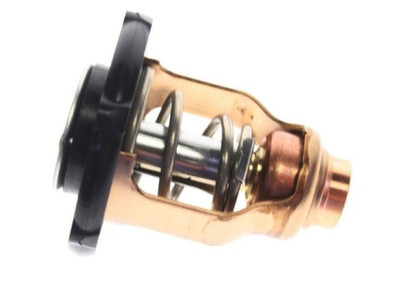 Order YAMAHA 6FP-12411-00-00  Outboard Thermostat F80D F100F