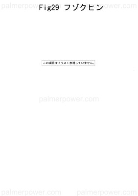 Order YANMAR X229205 Breaker, Circuit 60A