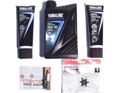 Order YAHAMA YAM-SERVKIT-F2.5 F2.5A 4-Stroke Outboard Service Kit