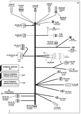 EVINRUDE-JOHNSON 3011162 Connector & Seal, 3 Position Plug