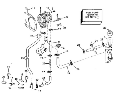 EVINRUDE-JOHNSON 333384 Hose Assy. EVINRUDE-JOHNSON 333384 Hose Assy.