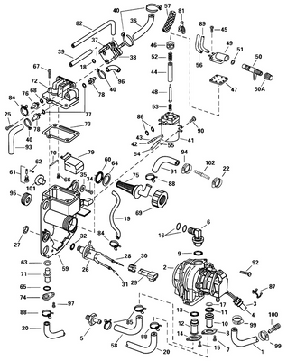 EVINRUDE-JOHNSON 336131 Hose, Bracket To Manifold - Stbd