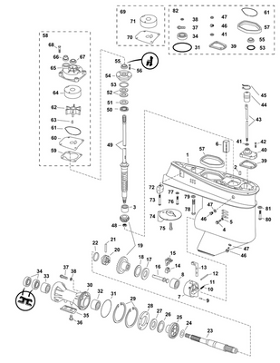 EVINRUDE-JOHNSON 5009758 Gearcase Assembly | Graphite Models