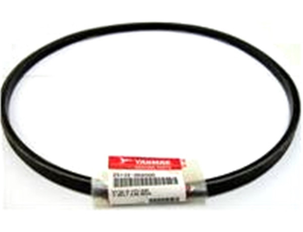 Order YANMAR 25132-004500 V-Belt A45