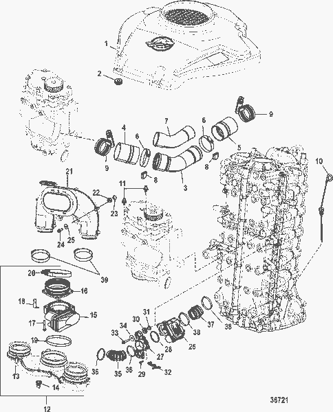 Order MERCURY 887937005 Hose, Front