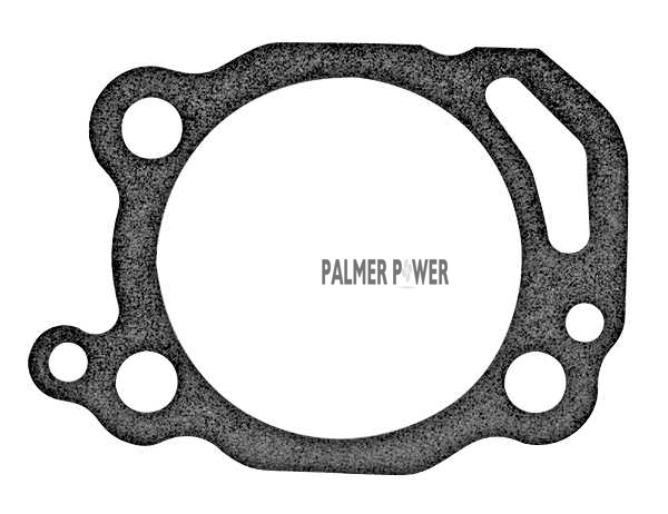 Order MERCURY 396231 Gasket, Face Plate To Water Pump Body (Upper)