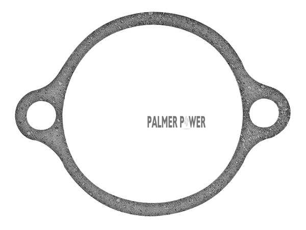 Order MERCURY 88907003 Gasket, Relief Valve Plate