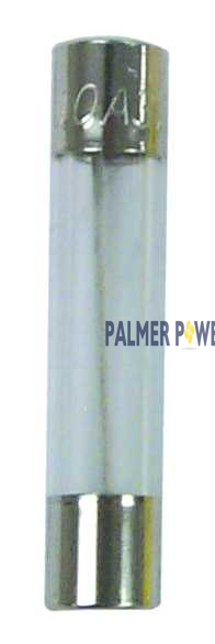 SIERRA FS79170 FUSES AGC 10 AMP (CD-5)
