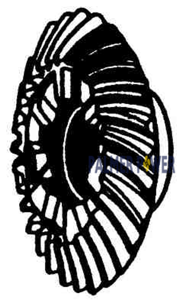 Order GLM PRODS _ 11575 _ REVERSE GEAR