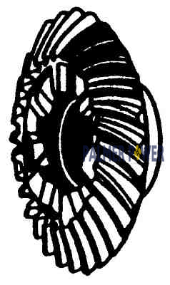 Order GLM PRODS _ 11577 _ REVERSE GEAR