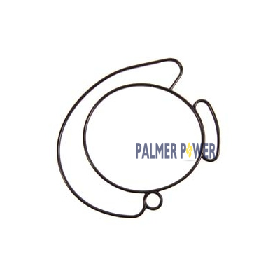 EVINRUDE-JOHNSON 344046  Seal Carburetor C=4