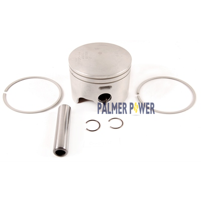 EVINRUDE-JOHNSON 5006679  Pstn&Ring Kit .030 C=5