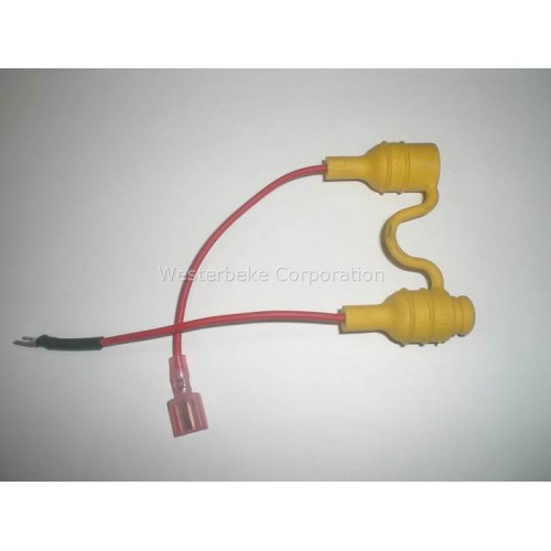 Order WESTERBEKE 53008 Wire, Fuse 1 Amp