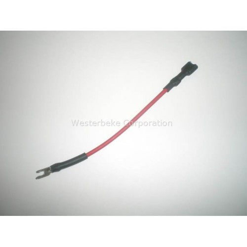 Order WESTERBEKE 42859 Wire, Stop Switch Bcgt Rem Pnl