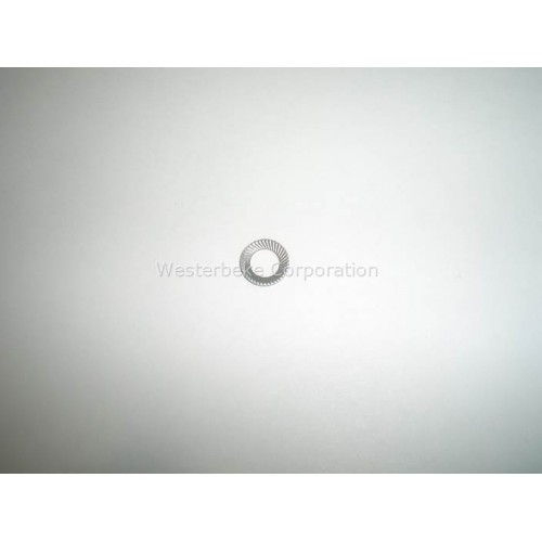 Order WESTERBEKE 49181 Washer, Serrated Bellville 10