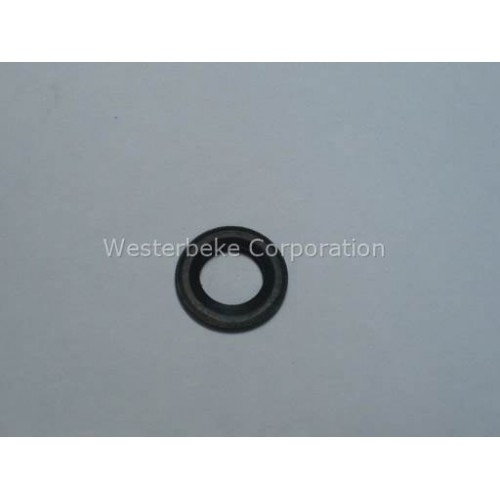 Order WESTERBEKE 32021 Washer 1.00Od, 0.690Id, 0.032Tk