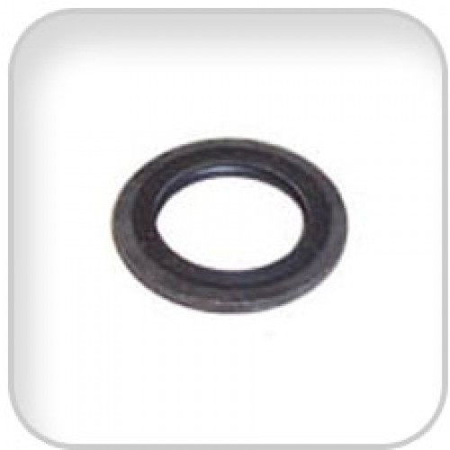 Order WESTERBEKE 30290 Washer, Banjo M12