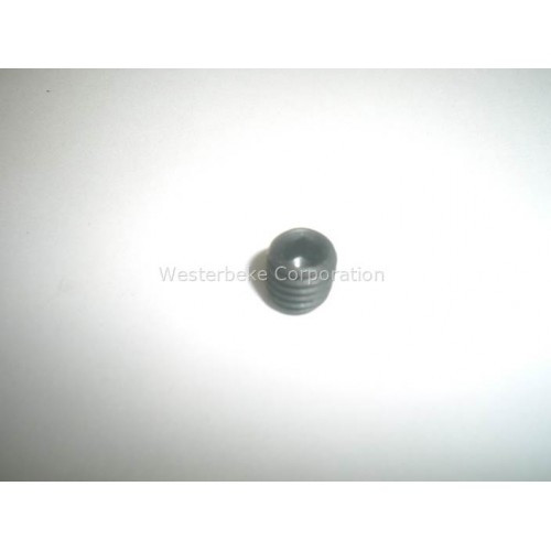 Order WESTERBEKE 40562 Setscrew M8X1.25X 8 Din 916