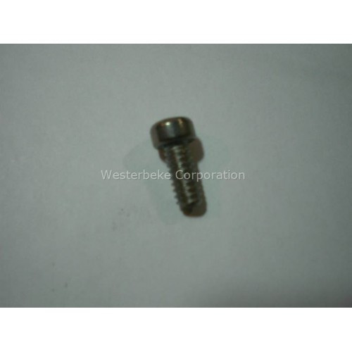 WESTERBEKE 17551 Screw, Impeller Cover