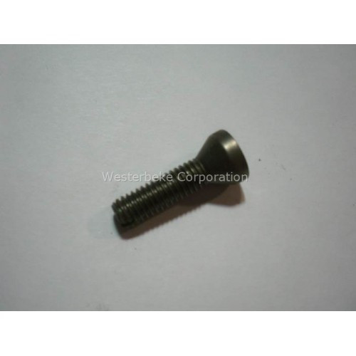 Order WESTERBEKE 37029 Screw, Rocker Adjusting