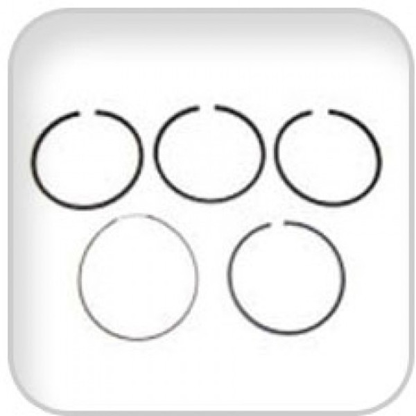 Order WESTERBEKE 30417 Ring Set Std K3D/K4D