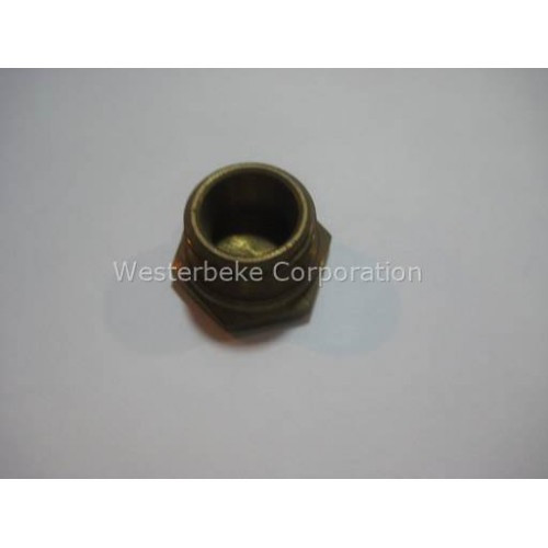 Order WESTERBEKE 36292 Plug, Filter