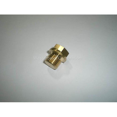 Order WESTERBEKE 30730 Plug M16X1.5 Din 910 Brass