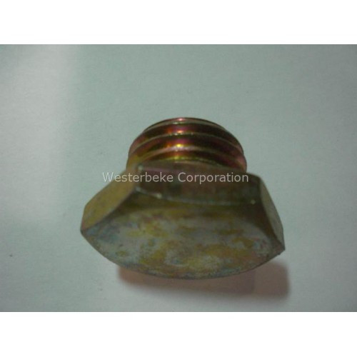 Order WESTERBEKE 33672 Plug M24