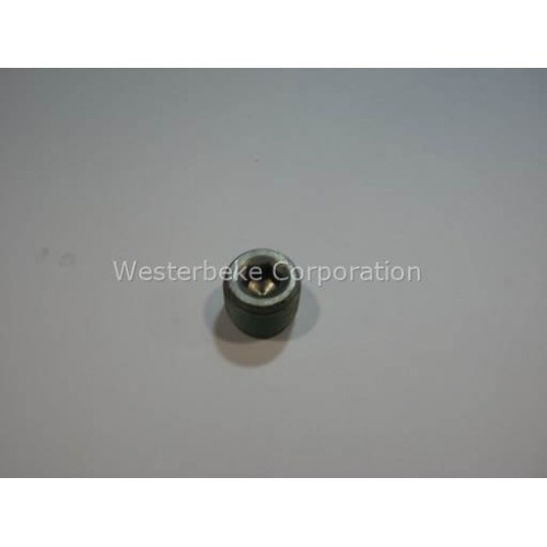 Order WESTERBEKE 19979 Plug