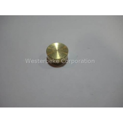 Order WESTERBEKE 34119 Plug