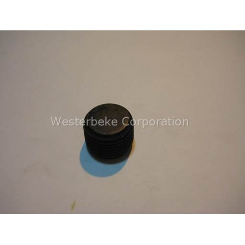 Order WESTERBEKE 34171 Plug