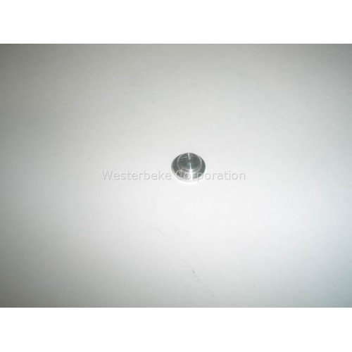 Order WESTERBEKE 53832 Plug, Carburetor Idle Mix Screw