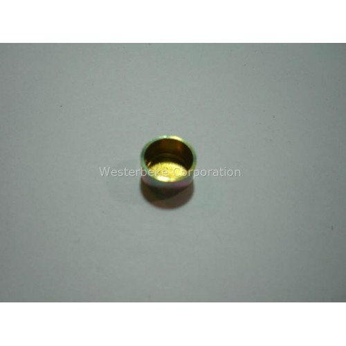 Order WESTERBEKE 33659 Plug, Expansion 10 Mm Din 443