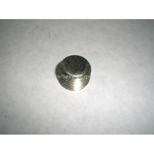 Order WESTERBEKE 30713 Plug 1/2-14 Bspt Din 906 Cad